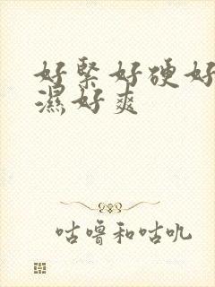 好紧好硬好大好湿好爽