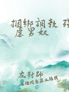 捆绑调教 强制 虐男奴