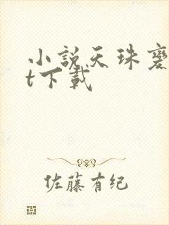 小说天珠变txt下载