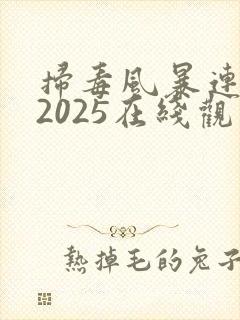 扫毒风暴连续剧2025在线观看全集