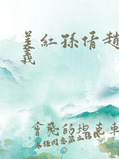 美红孙倩赵敏高义