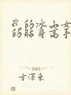 我的冰山女总裁的贴身高手