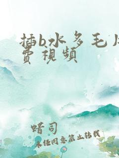 插b水多毛片免费视频
