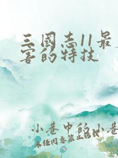 三国志11最厉害的特技
