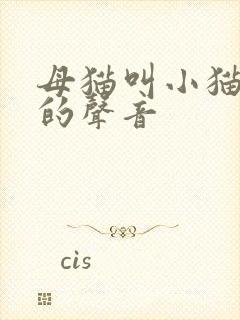 母猫叫小猫回家的声音