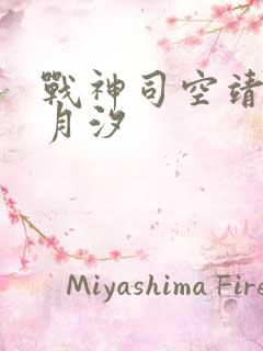 战神司空靖和苏月汐