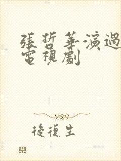 张哲华演过哪些电视剧