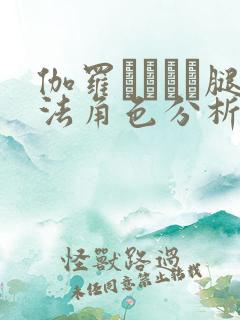 伽罗ちゃんが腿法角色分析及角色分