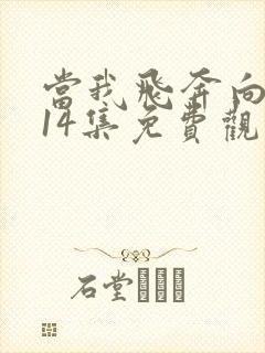 当我飞奔向你第14集免费观看