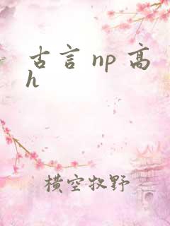 古言 np 高h
