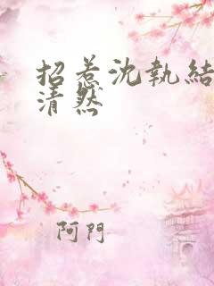 招惹沈执结局林清然