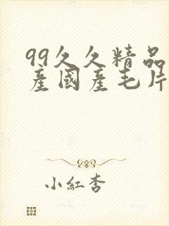 99久久精品国产国产毛片