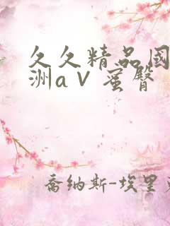 久久精品国产亚洲a∨蜜臀