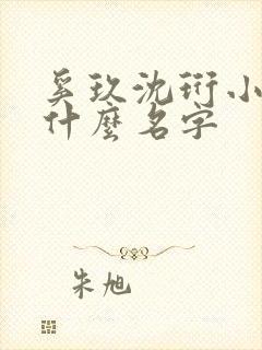 奚玖沈珩小说叫什么名字