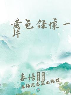 黄色录像一级一片