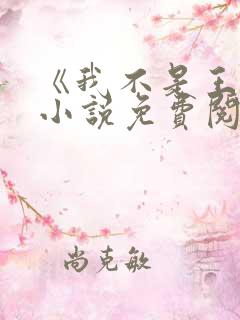 《我不是王妈》小说免费阅读