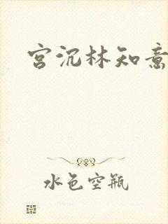 宫沉林知意结局