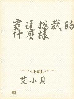 霸道总裁的爱是什么样