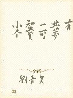 小智一共有多少个宝可梦