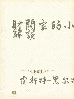 财阀家的小儿子解说