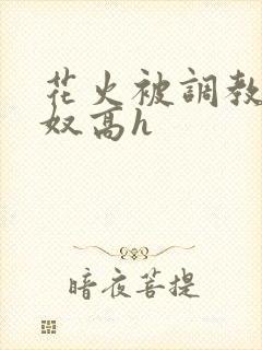 花火被调教成肉奴高h