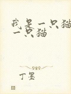 我是一只猫我是一只猫