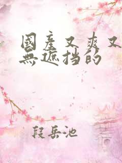 国产又爽又黄又无遮挡的