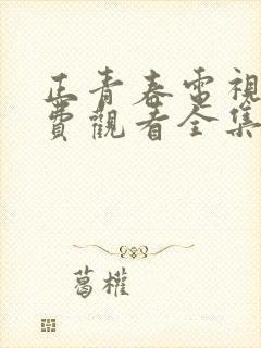 正青春电视剧免费观看全集西瓜