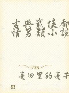 古典武侠都市激情另类小说