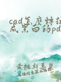 cad怎么转换成黑白的pdf图纸