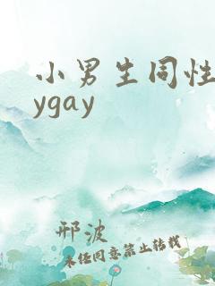 小男生同性gaygay