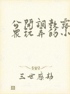 公开调教露出当众玩弄的小说