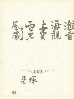 风雨上海滩电视剧免费观看完整版