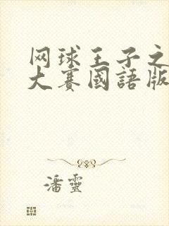 网球王子之全国大赛国语版在线观看