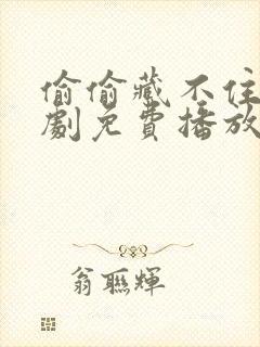 偷偷藏不住电视剧免费播放在线