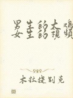 男生的大鸡插入女生的视频