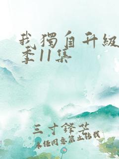 我独自升级第二季11集