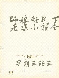 师娘赶我下山找老婆小说全文下载