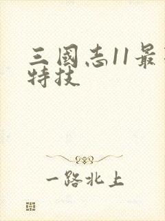 三国志11最强特技