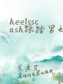 heelsscash踩踏男奴vk