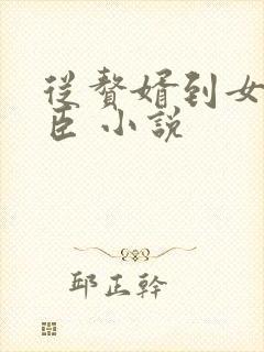 从赘婿到女帝宠臣 小说