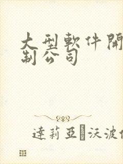 大型软件开发定制公司