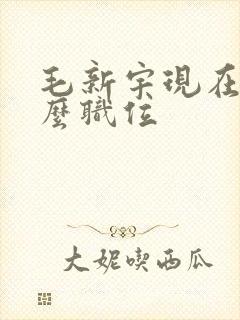 毛新宇现在是什么职位