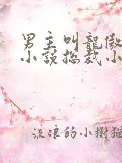 男主叫龙傲天的小说总裁小说