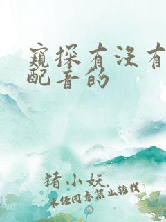 窥探有没有国语配音的