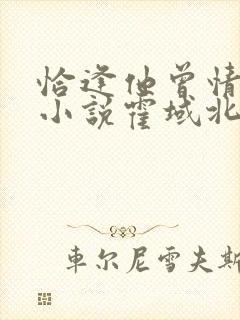 恰逢他曾情深时小说霍域北苏桥