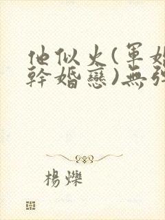 他似火(军婚高干婚恋)无弹窗