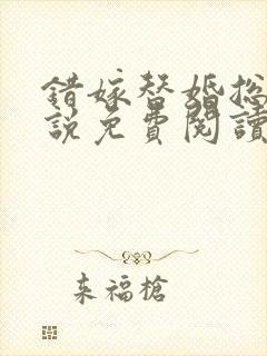 错嫁替婚总裁小说免费阅读全文