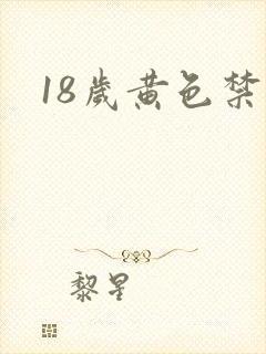 18岁黄色禁片