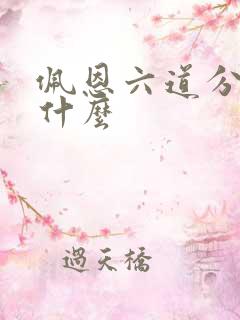 佩恩六道分别叫什么